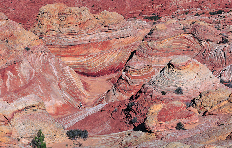 USA Coyote Buttes north_Panorama 7371b